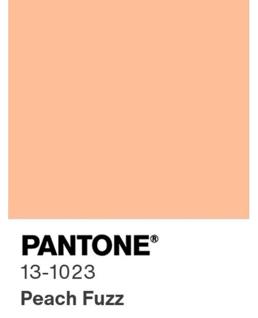 Kleuren van het jaar 2024 - Pantone - Histor - Flexa - Interieurinspiratie - Interieurontwerp